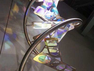DNA building blocks of life art exhibit