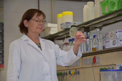 Frau im Labor im weißen Kittel betrachtet ein Präparat.